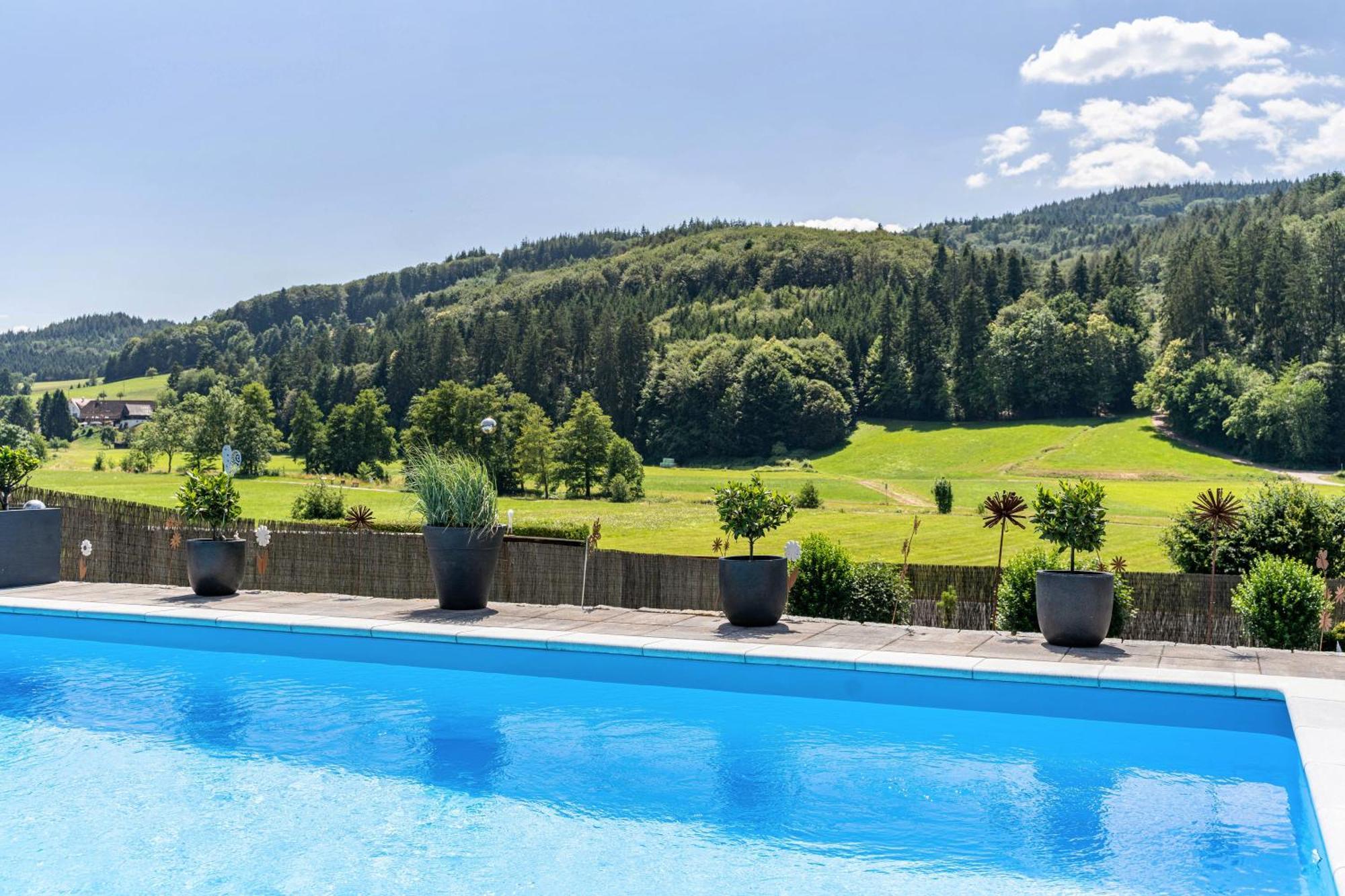 Ferienwohnung Geisbergblick Сеелбах Екстер'єр фото